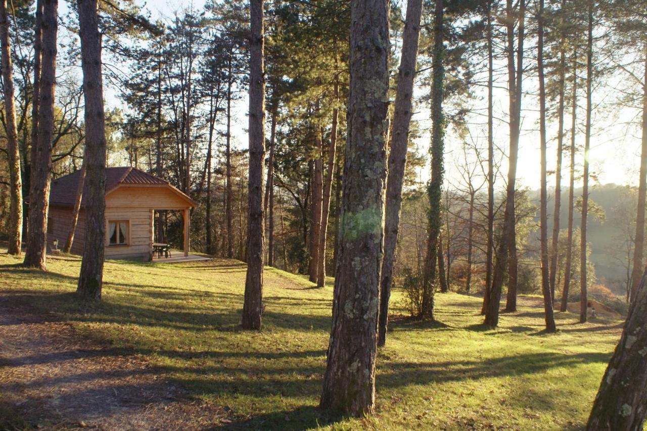 Au Pre De L'Arbre Villa Sarlat Exterior foto